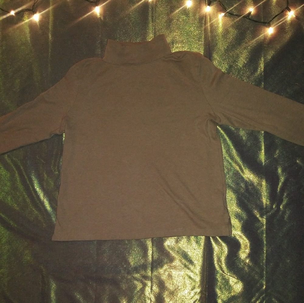 Classic Elements Turtleneck